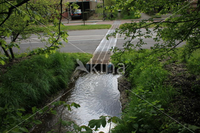 Apeldoorn