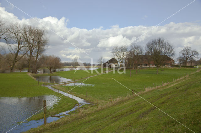 Oude IJssel