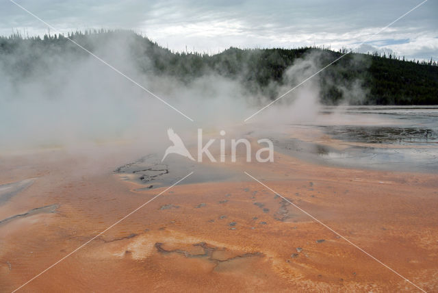 Yellowstone national park