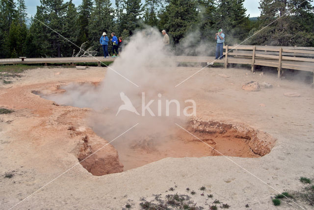 Yellowstone national park