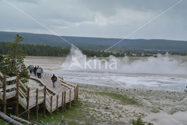 Yellowstone national park