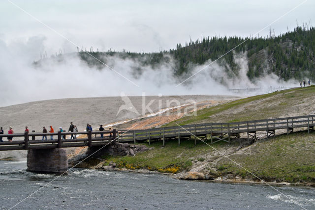 Yellowstone national park