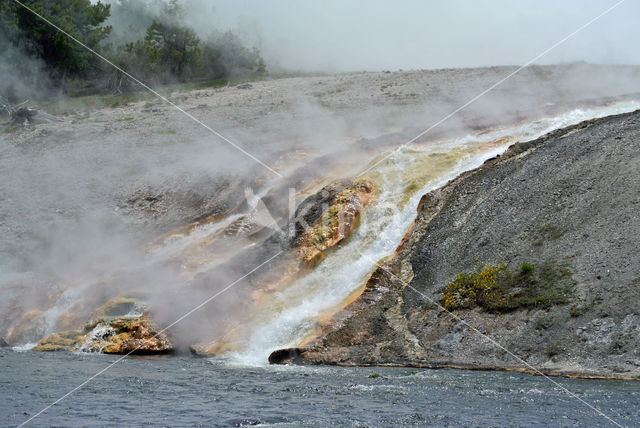 Yellowstone national park