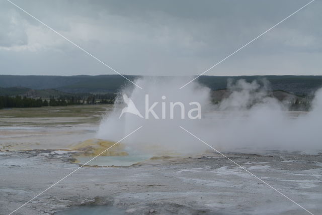 Yellowstone national park