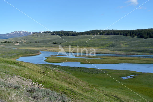 Yellowstone National Park