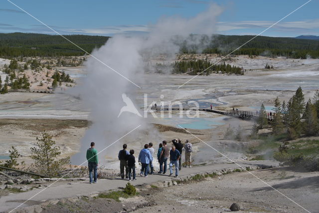 Yellowstone national park