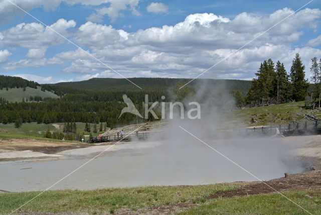 Yellowstone national park