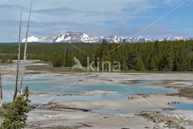 Yellowstone national park