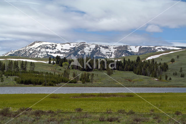 Yellowstone National Park