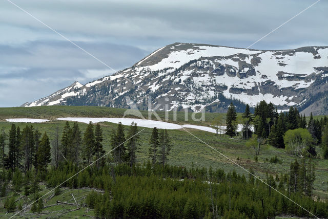 Yellowstone National Park