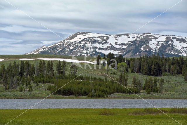 Yellowstone National Park