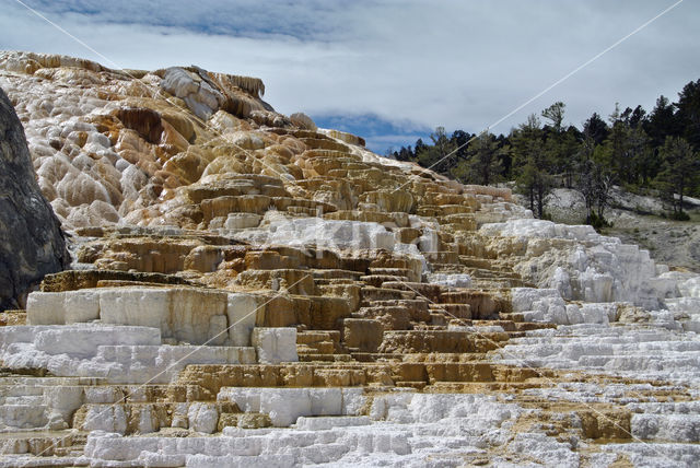 Yellowstone national park