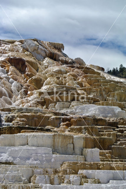 Yellowstone national park