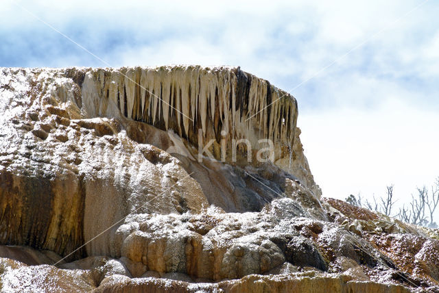 Yellowstone national park