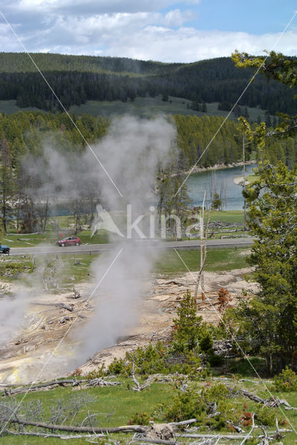 Yellowstone national park