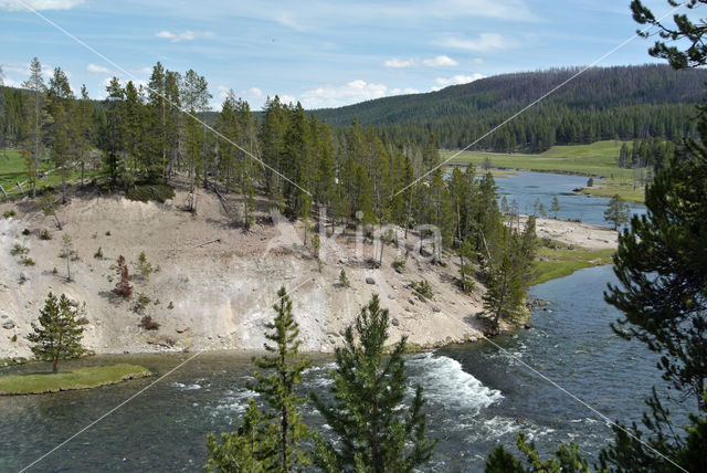 Yellowstone national park