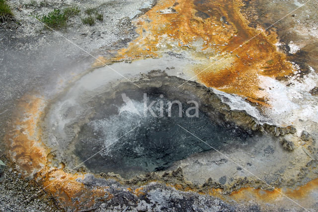 Yellowstone national park