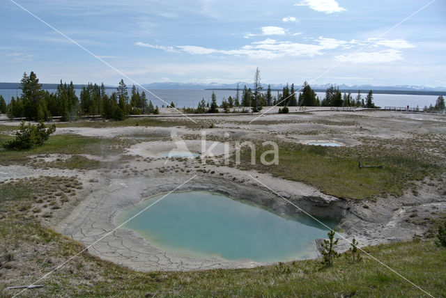 Yellowstone national park