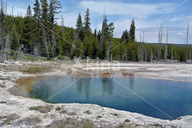 Yellowstone national park