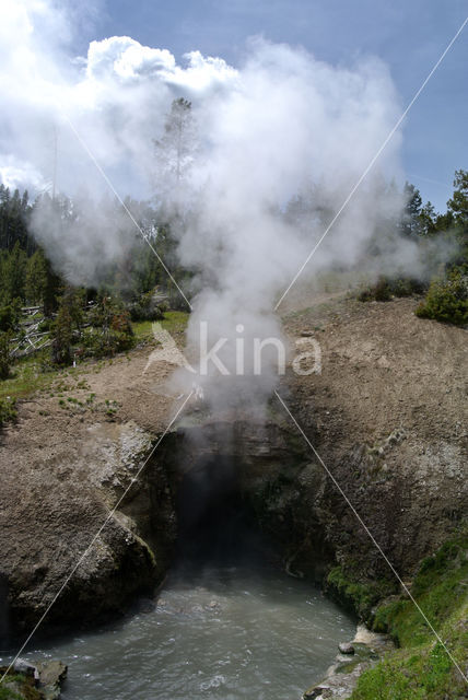 Yellowstone national park