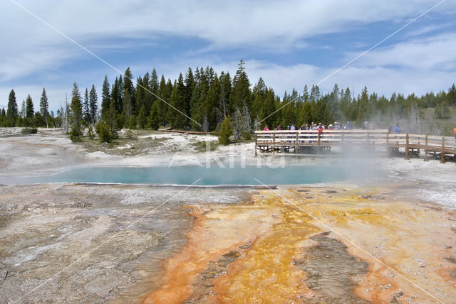 Yellowstone national park