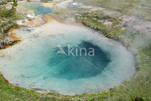 Yellowstone national park