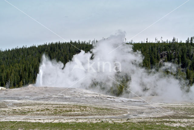 Yellowstone national park