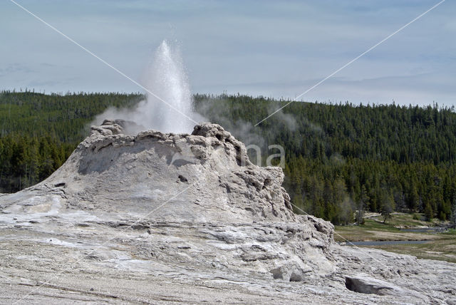 Yellowstone national park