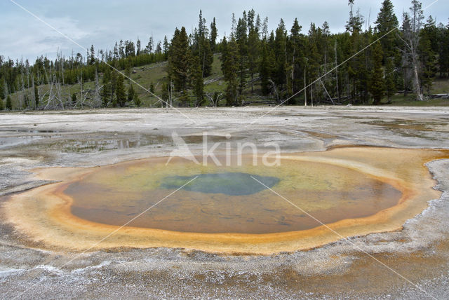 Yellowstone national park