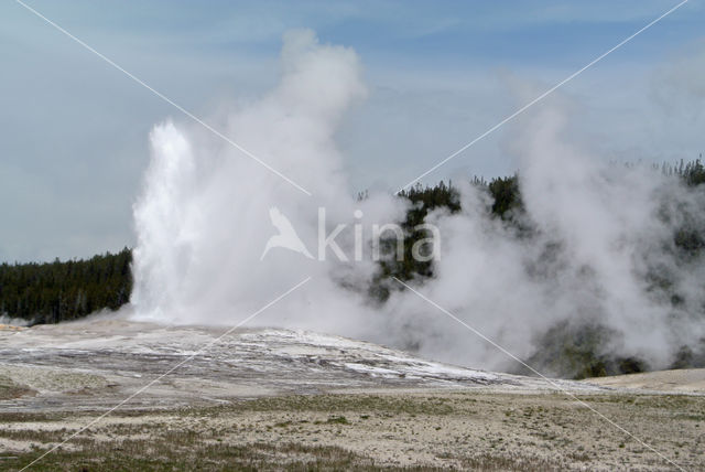 Yellowstone national park