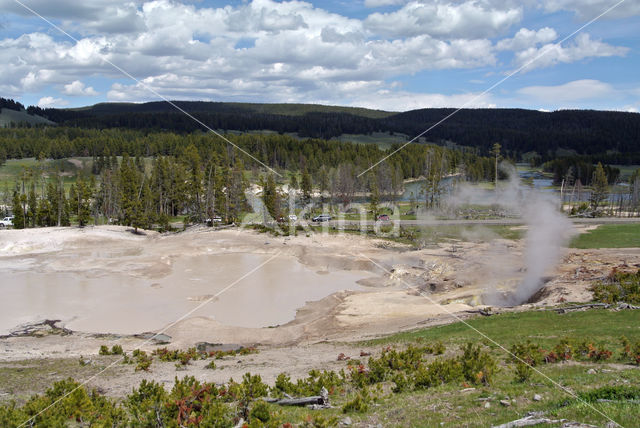 Yellowstone national park