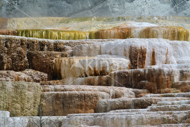 Yellowstone national park