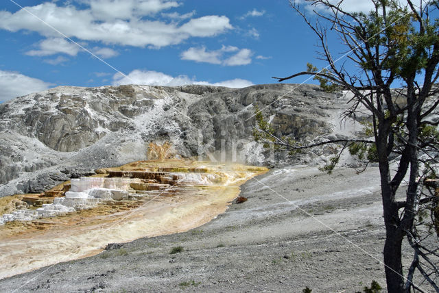 Yellowstone national park