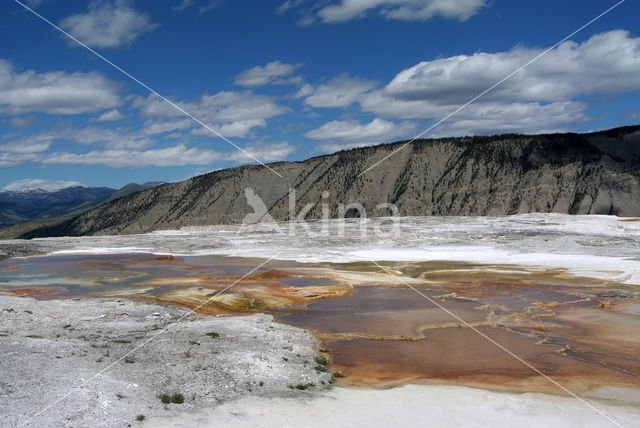 Yellowstone national park