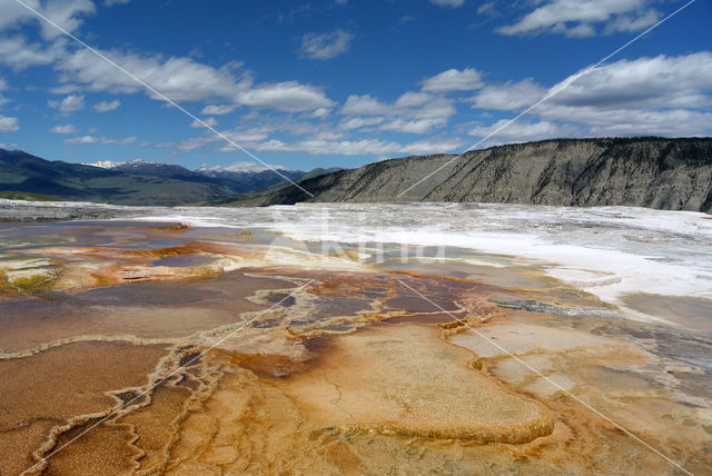 Yellowstone national park