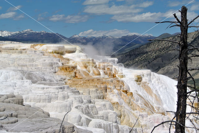 Yellowstone national park