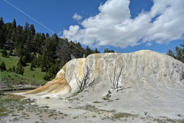 Yellowstone national park