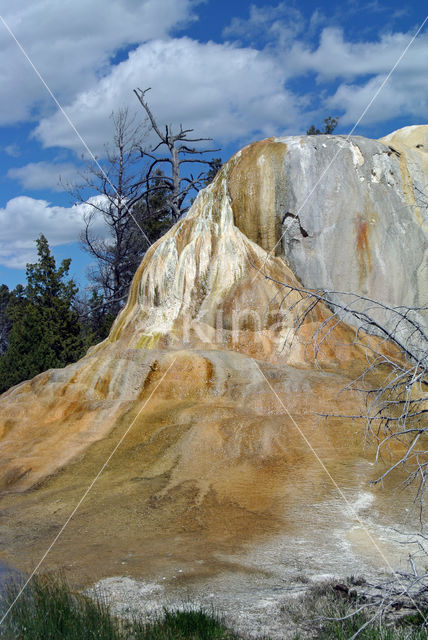 Yellowstone national park