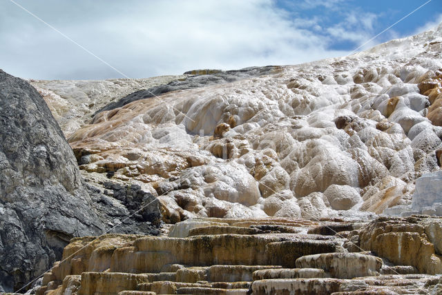 Yellowstone national park