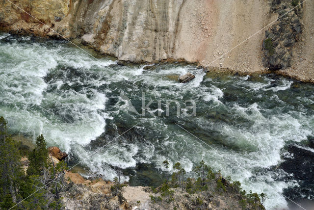 Yellowstone National Park