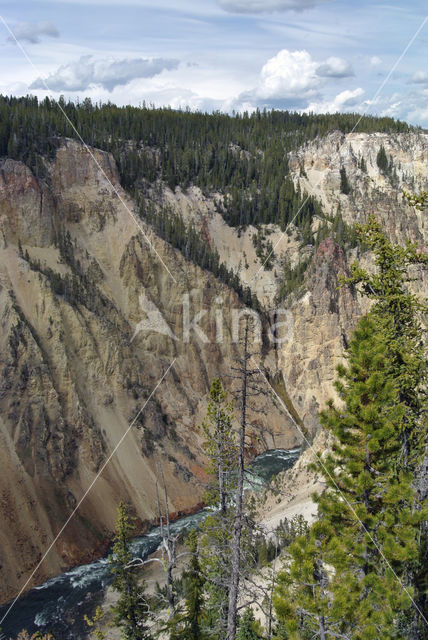 Yellowstone National Park