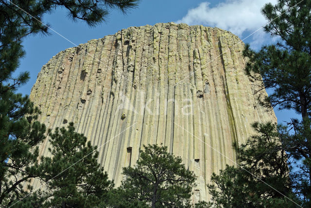 Devils Tower