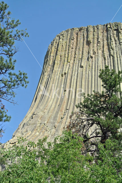 Devils Tower