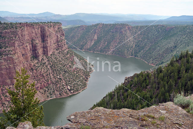 Flaming gorge