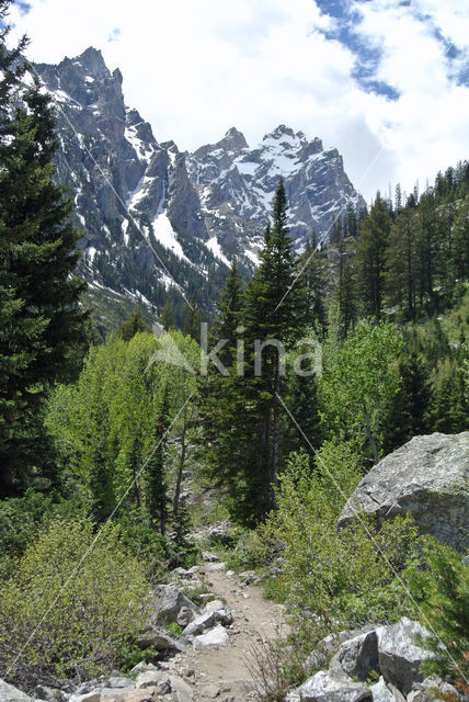 Grand Teton National Park