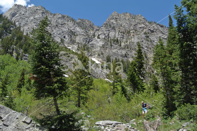 Grand Teton National Park