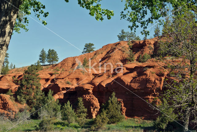 Devils Tower