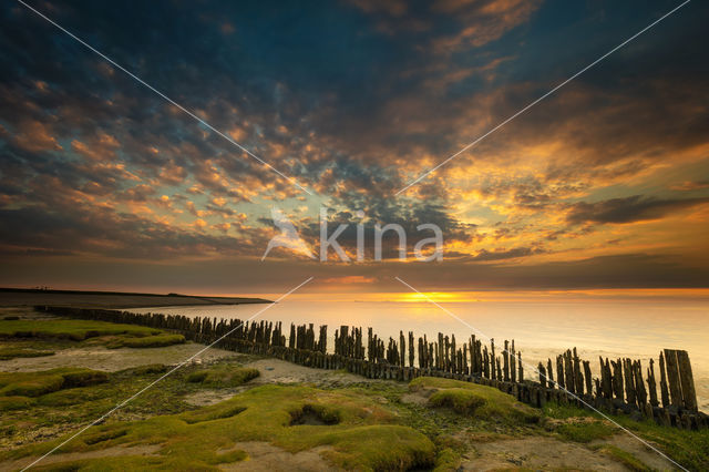 Waddenzee