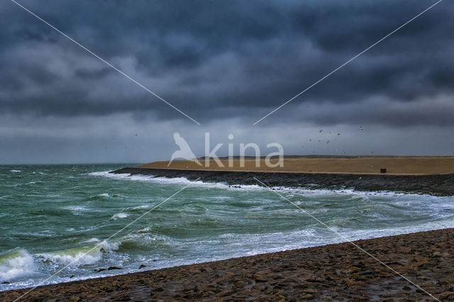 Nationaal Park Oosterschelde