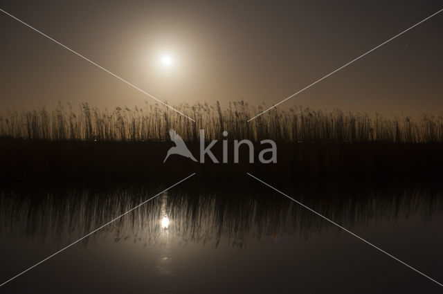 Noordhollands kanaal